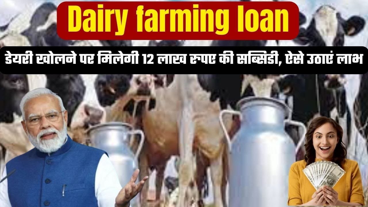 Dairy farming loan