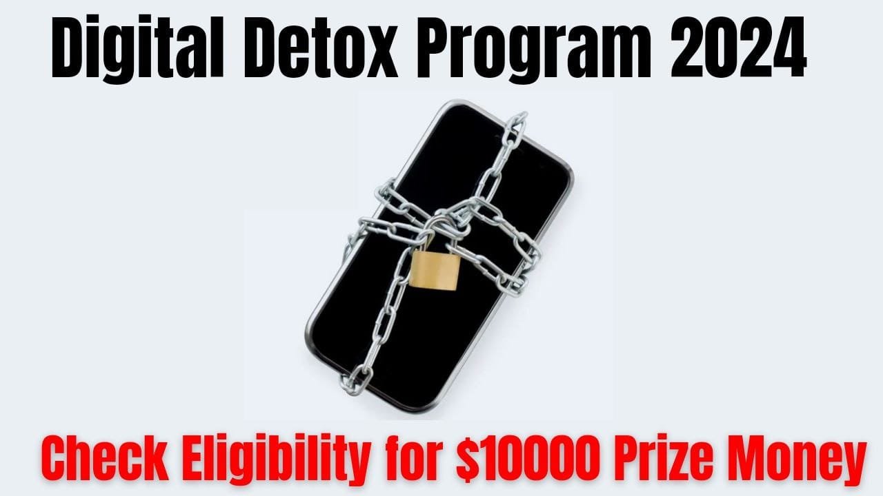 Digital Detox Program 2024