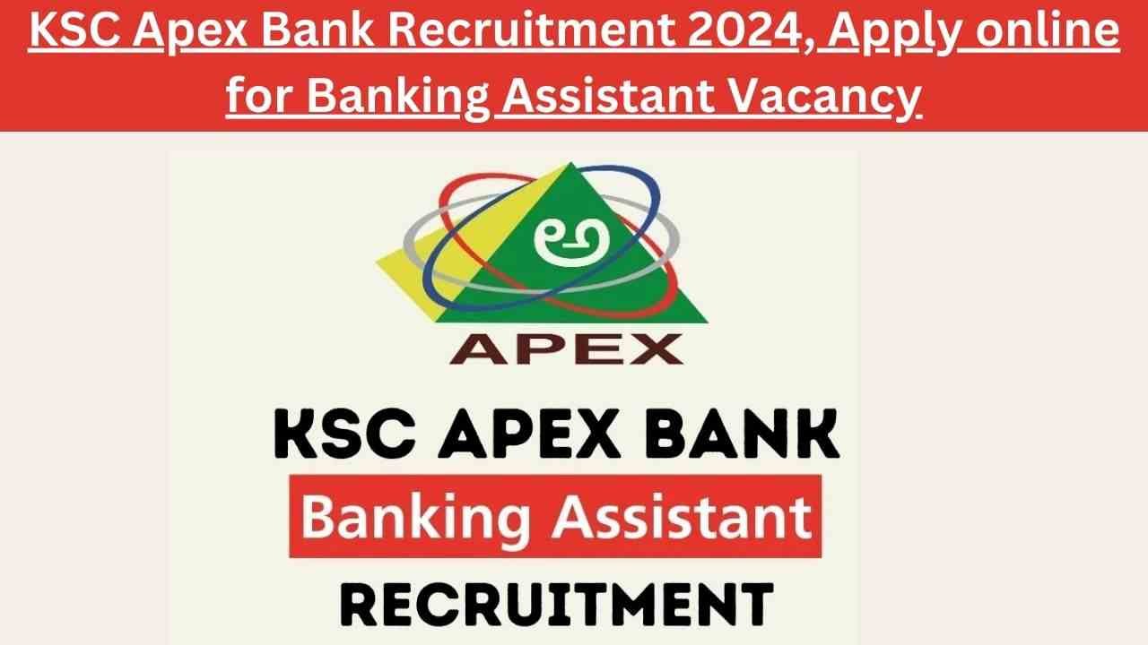KSC Apex Bank Recruitment 2024