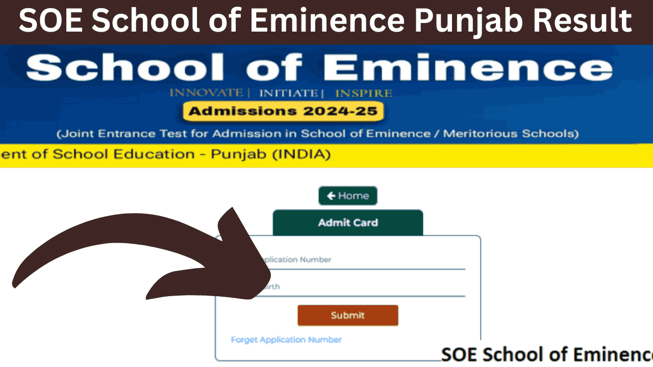 SOE School of Eminence Punjab Result 2024