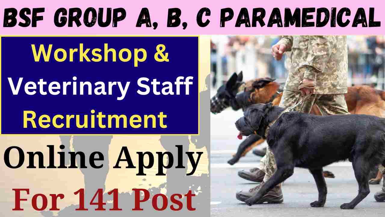 BSF Group A, B, C Paramedical
